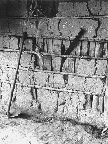 ©Gilmar Simes