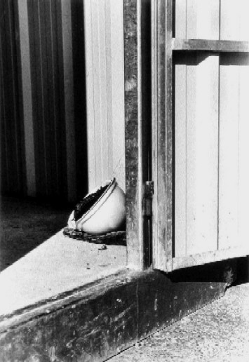 ©Gilmar Simes