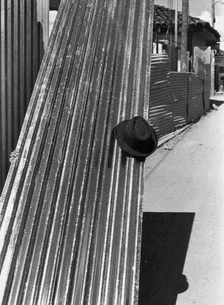  ©Gilmar Simes