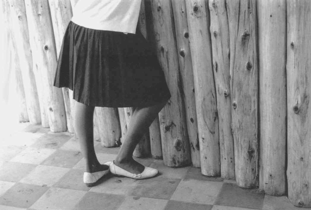  ©Gilmar Simes